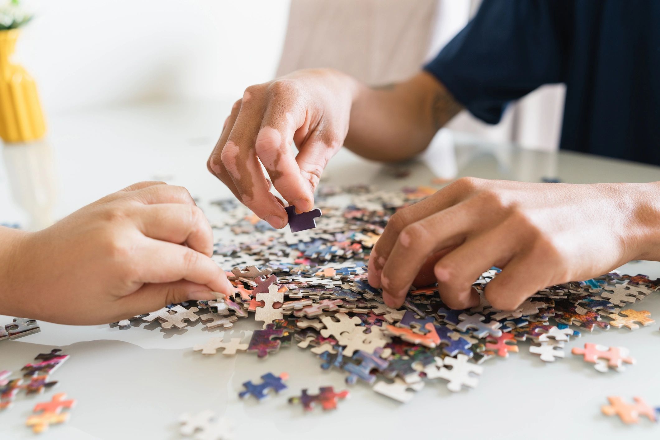 Branded puzzle display at a zoo or aquarium gift shop